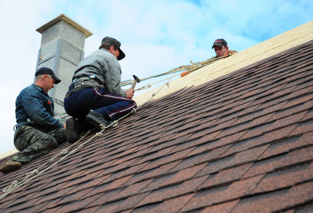 Best New Roof Installation  in Portola, CA
